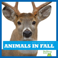 Animals_in_fall