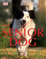 The_senior_dog
