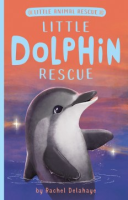 Little_dolphin_rescue