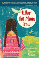 What_the_moon_saw