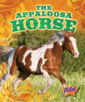 The_Appaloosa_horse