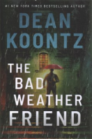 The_bad_weather_friend